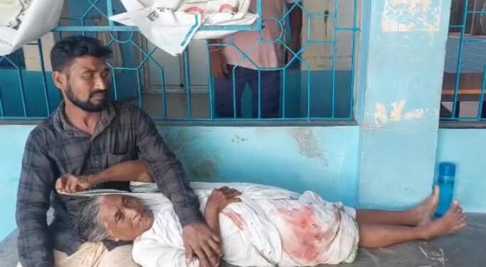 পূর্বস্থলীতে পাগলা কুকুরের কামড়ে জখম বৃদ্ধাসহ ৬, আতঙ্ক এলাকায়