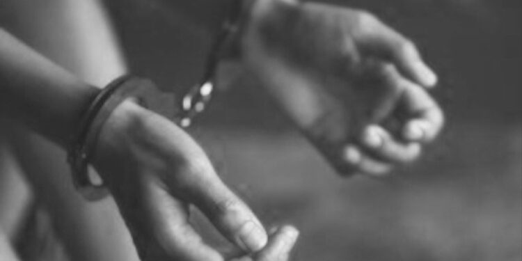 তিন বছরের ছেলেকে খুনের জন্য ভাড়াটে খুনির সন্ধান করতে গিয়ে গ্রেফতার মহিলা