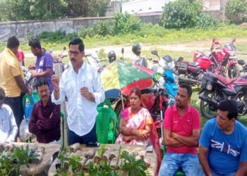 গুসকরার ক্লাবের উদ্যোগে বৃক্ষরোপণ