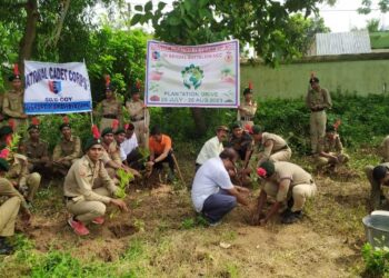 গুসকরা মহাবিদ্যালয়ে বৃক্ষরোপণ কর্মসূচি পালন করলেন এনসিসি