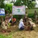 গুসকরা মহাবিদ্যালয়ে বৃক্ষরোপণ কর্মসূচি পালন করলেন এনসিসি