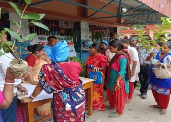 বৃক্ষরোপণ সপ্তাহ পালন করছে ফলতা প্রাথমিক বিদ্যালয়