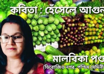 কবিতা : হেঁসেলে আগুন