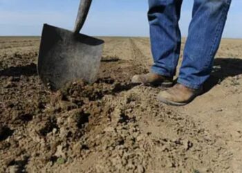 মার্কিন স্ত্রীকে খুন করে কবর দিতে গিয়ে গ্রেফতার পাকিস্তানি ব্যক্তি