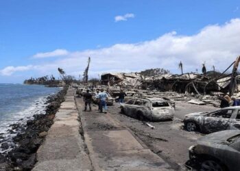 আমেরিকার হাওয়াইয়ান দ্বীপের বনে দাবানলে মৃতের সংখ্যা পৌঁছেছে ৯৩ জনে