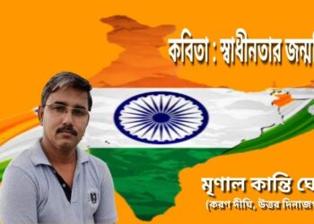 কবিতা : স্বাধীনতার জন্মদিন