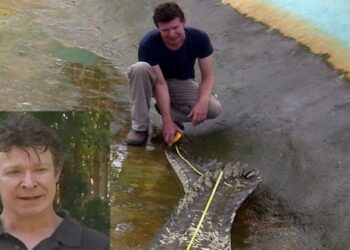 ৪০ টি কুকুরকে ধর্ষণের পর হত্যা, শিশু নির্যাতনসহ ৬০ টি মামলায় দোষী সব্যস্ত ব্রিটিশ প্রাণীবিদ অ্যাডাম ব্রিটন