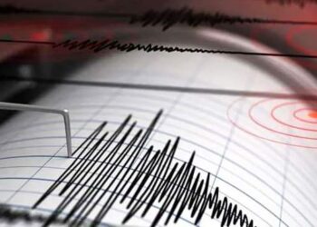 নিউজিল্যান্ডে ৬.৪ মাত্রার ভূমিকম্প