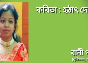 কবিতা : হঠাৎ দেখা