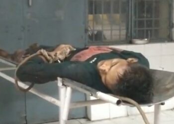 শাহজাহানপুরে পুলিশের এনকাউন্টারে খতম অধ্যাপককে খুনের ঘটনার অন্যতম আসামি শাহবাজ