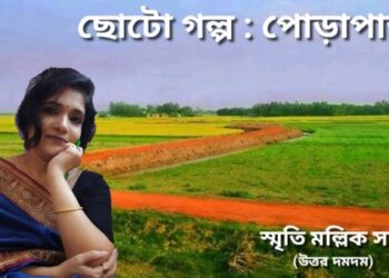 ছোটো গল্প : পোড়াপাড়া