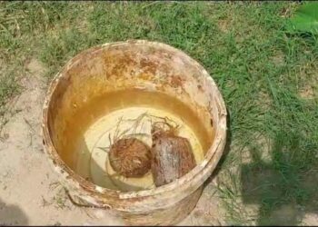 বর্ধমান বিশ্ববিদ্যালয়ের মিউজিক কলেজ সংলগ্ন স্থানে উদ্ধার হল বোমা