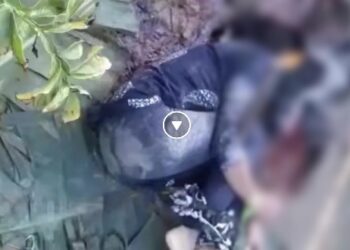 বসিরহাটে নির্মমভাবে খুন কিশোরী, মৃতা হিন্দু এবং ঘটনার মূল আসামি বুরহানুর মুক্কাদিম লিটন-দাবি করলেন বিজেপি নেতা