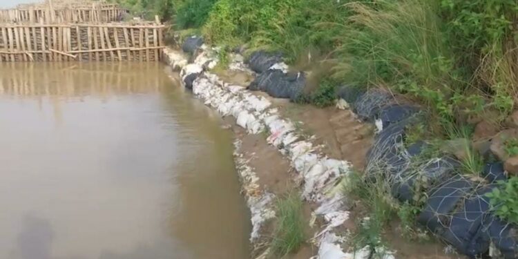 দু’মাস আগে তিন কোটির বেশী টাকা খরচ করে অজয়ের ভাঙন রোধের কাজ হলেও ফের শুরু ভাঙন, ক্ষোভে ফুঁষছে আউশগ্রাম