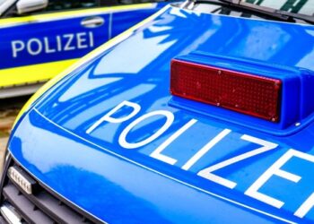 ফ্রান্সে ৬৮ বছরের বৃদ্ধাকে গলার নলি কেটে খুন করল ১৭ বছরের মুসলিম অনুপ্রবেশকারী কিশোর