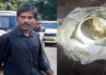 কাটোয়ার বাঁধমুড়া গ্রামের বাসিন্দা আজাদ শেখের বাড়ি থেকে উদ্ধার হল ৮ টি তাজা বোমা