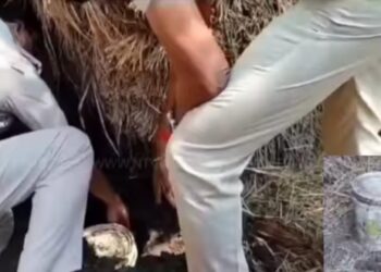 মুর্শিদাবাদের খড়গ্রামে খুনের ঘটনায় অভিযুক্তের বাড়ির পাশে উদ্ধার ৩০ টি তাজা বোমা