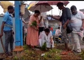 গান্ধীজয়ন্তী উপলক্ষ্যে বৃক্ষরোপণ করল দুর্গাপুরের স্বেচ্ছাসেবী সংস্থা