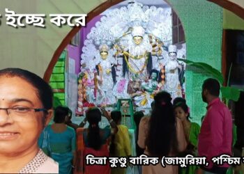 বড় ইচ্ছে করে