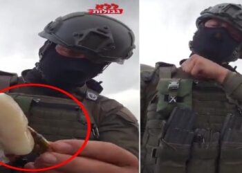 শুকরের চর্বি মাখানো বুলেট দিয়ে হামাসের সন্ত্রাসী খতম করছে ইসরায়েলের সেনা : দাবি সোশ্যাল মিডিয়ায়