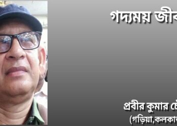 গদ্যময় জীবন