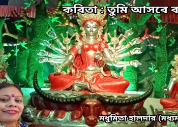 কবিতা : তুমি আসবে বলে