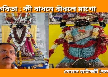 কবিতা : কী বাধনে বাঁধলে মাগো