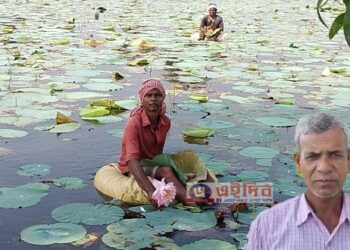 মনের প্রশান্তির জন্য ৩০ বছর ধরে দুর্গা মায়ের পুজোর জন্য পদ্ম ফুল চাষ করে যাচ্ছে শেখ বাবর