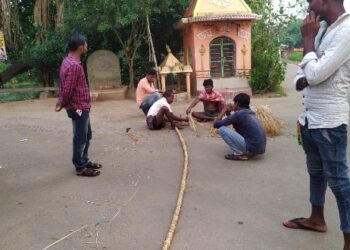 লক্ষ্মীপূজো মিটতেই ধান সংরক্ষণেরপ্রস্তুতি চলছে মঙ্গলকোটে