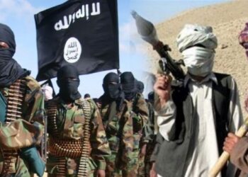 পাকিস্তানের কাছে অর্থ নিয়ে ভারতে সন্ত্রাসী কর্মকাণ্ড ছড়ানো ষড়যন্ত্র করছিল উত্তরপ্রদেশের রিয়াজউদ্দিন ও বিহারের ইজহারুল