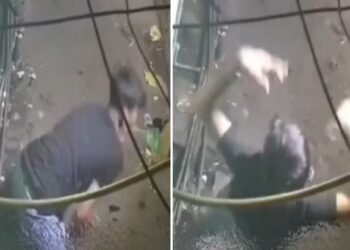 ৩৫০ টাকার জন্য এক কিশোরকে ৬০ বার ছুরিকাঘাত করে খুন করল আর এক কিশোর, হত্যার পর উল্লাস করতে দেখা গেছে ঘাতককে