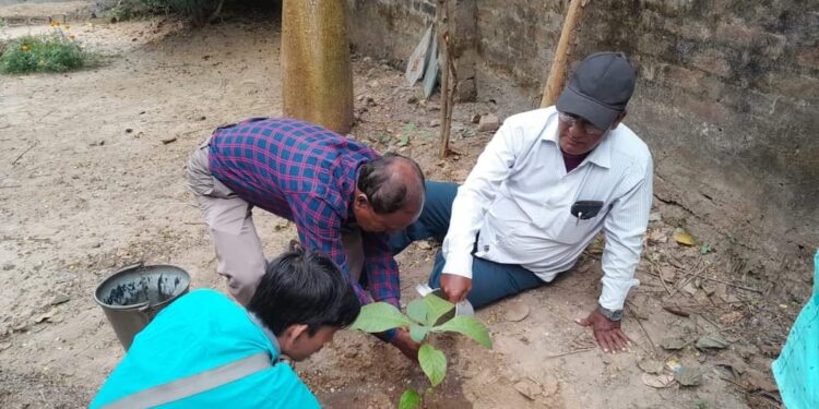 মেমারির সাংবাদিকদের উদ্যোগে বৃক্ষরোপণ