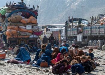 আফগান শরণার্থীদের জোর করে দেশ থেকে তাড়াতে শুরু করল পাকিস্তান