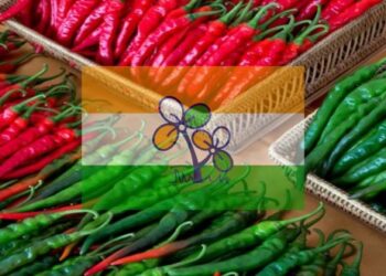 তৃণমূলের গোষ্ঠদ্বন্দ্বে হাতিয়ার লঙ্কা! তৃণমূলের বিধায়ক ও নেতার কথোপকথনের অডিও ভিডিওতে উঠছে প্রশ্ন