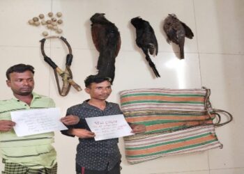দুই পাখমারাকে হাতেনাতে ধরল কাটোয়া বনদফতর