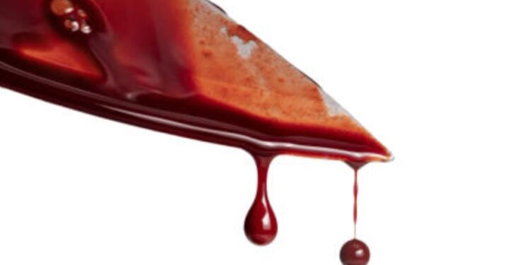 ভাইয়ের স্ত্রীর সাথে পরকীয়া, ধরা পড়তেই নির্মমভাবে খুন দাদা