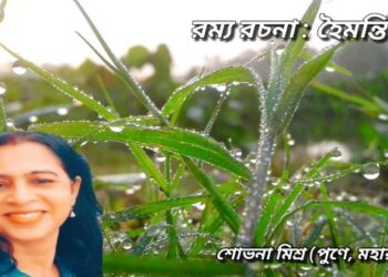 রম্য রচনা : হৈমন্তিক