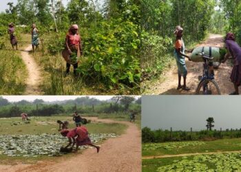 কঠোর শ্রম দিয়ে শালপাতার থালা তৈরি করেও মেলেনা যথাযথ মজুরি, নেই সরকারি সুবিধাও, আউশগ্রামের শালপাতা শ্রমিকরা বুঝে গেছে ‘বঞ্চিত হওয়া তাদের জন্মগত অধিকার’