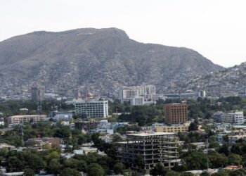 তিন তালিবানকে হত্যার দাবি করল লিবারেশন ফ্রন্ট