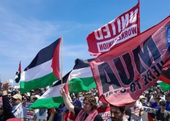 অস্ট্রেলিয়ার সিডনির বন্দরে ইসরায়েলি পরিবহন জাহাজকে বাধা দেওয়ার চেষ্টায় হামাস সন্ত্রাসীপন্থীরা