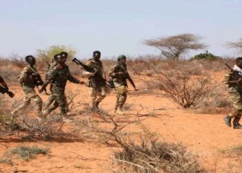 সোমালিয়ায় ইসলামি সন্ত্রাসবাদী গোষ্ঠী আল-শাবাবের ৮০ জন সন্ত্রাসী খতম