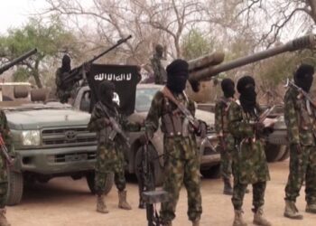 ১১ জন শ্রমিকের শিরোচ্ছেদের পর দেহ টুকরো টুকরো করল ইসলামি বোকো হারামের সন্ত্রাসীরা