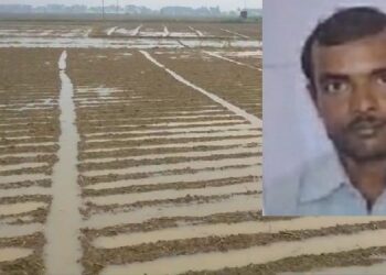 অকাল বর্ষণে আলু চাষের ক্ষতি দেখে হতাশায় আত্মঘাতী শস্য গোলার এক কৃষক