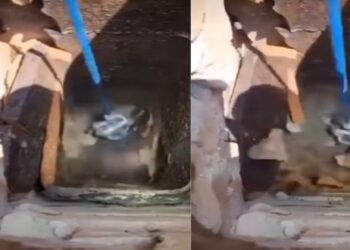 সন্ত্রাসী হামাসকে জব্দ করতে টানেলে সমুদ্রের জল ঢোকাতে শুরু করেছে ইসরায়েলি বাহিনী