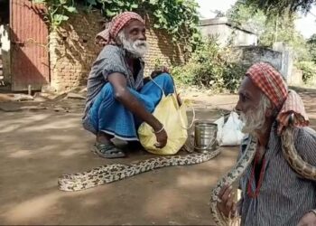খেলা দেখানোর সময় সাপ নিয়ে গেল বন দপ্তর, বিপাকে বৃদ্ধ সাপুড়ে
