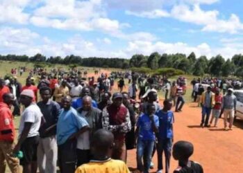 চলতি বছরে ‘সন্ত্রাসী’ হামলায় ৩০ জনের মৃত্যু হয়েছে পশ্চিম আফ্রিকার দেশ টোগোয়