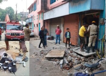 পশুপ্রেমীর উদ্যোগে হাইড্রেনের মধ্যে আটকে পড়া ৭ কুকুরছানা উদ্ধার করল দমকলবাহিনী