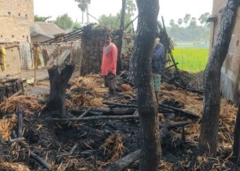 ভাতারে পশুপালকের গোয়ালে ভয়াবহ উগ্নিকান্ড,জীবন্ত দগ্ধ হয়ে মৃত ১০ ভেড়া ও ১৫ টি হাঁস, আশঙ্কাজনক ২ গাভি