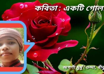 কবিতা : একটি গোলাপ