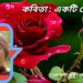 কবিতা : একটি গোলাপ